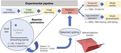 Bayesian Optimization for Neuroimaging Pre-processing in Brain Age Classification and Prediction